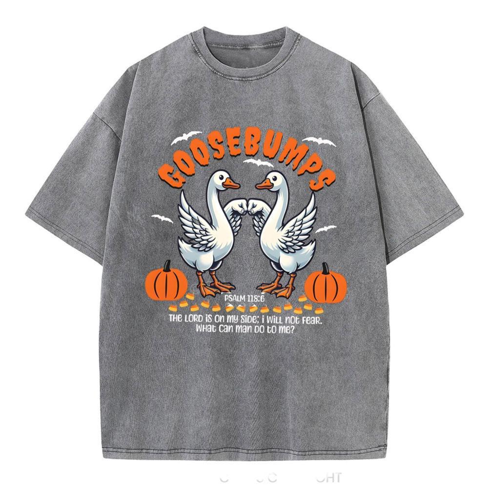 Goosebumps Christian Washed T-Shirt