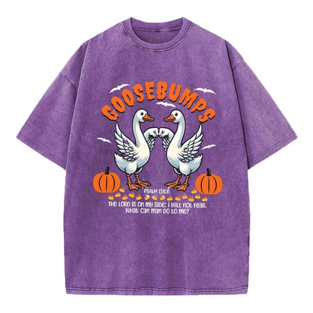 Goosebumps Christian Washed T-Shirt