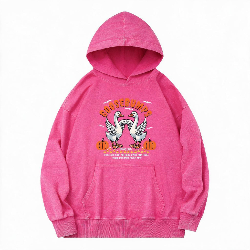 Goosebumps Christian Washed Hoodie