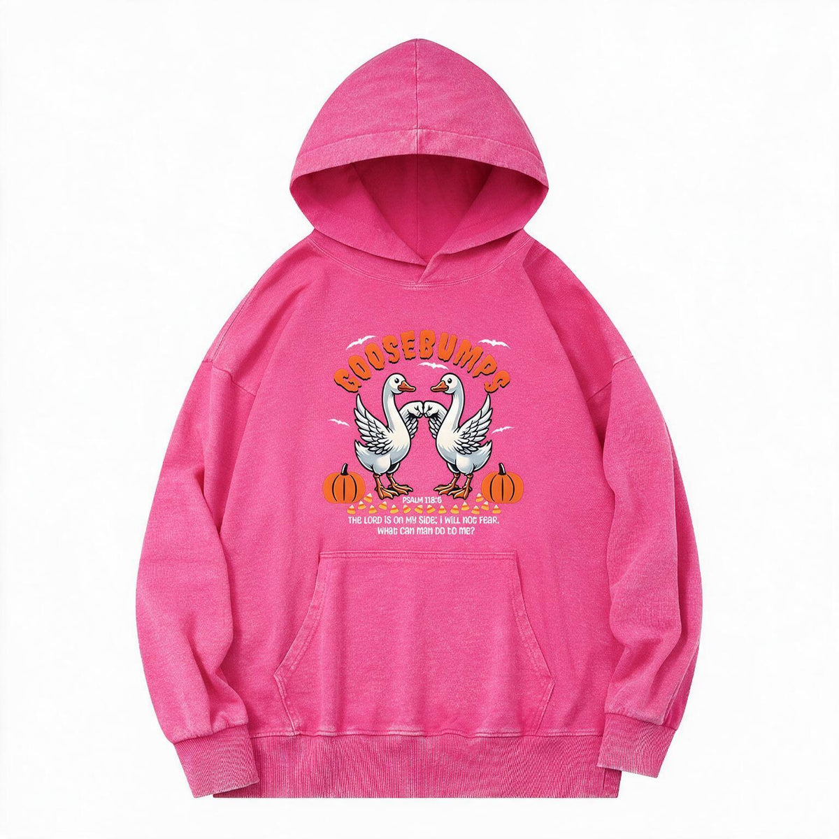 Goosebumps Christian Washed Hoodie