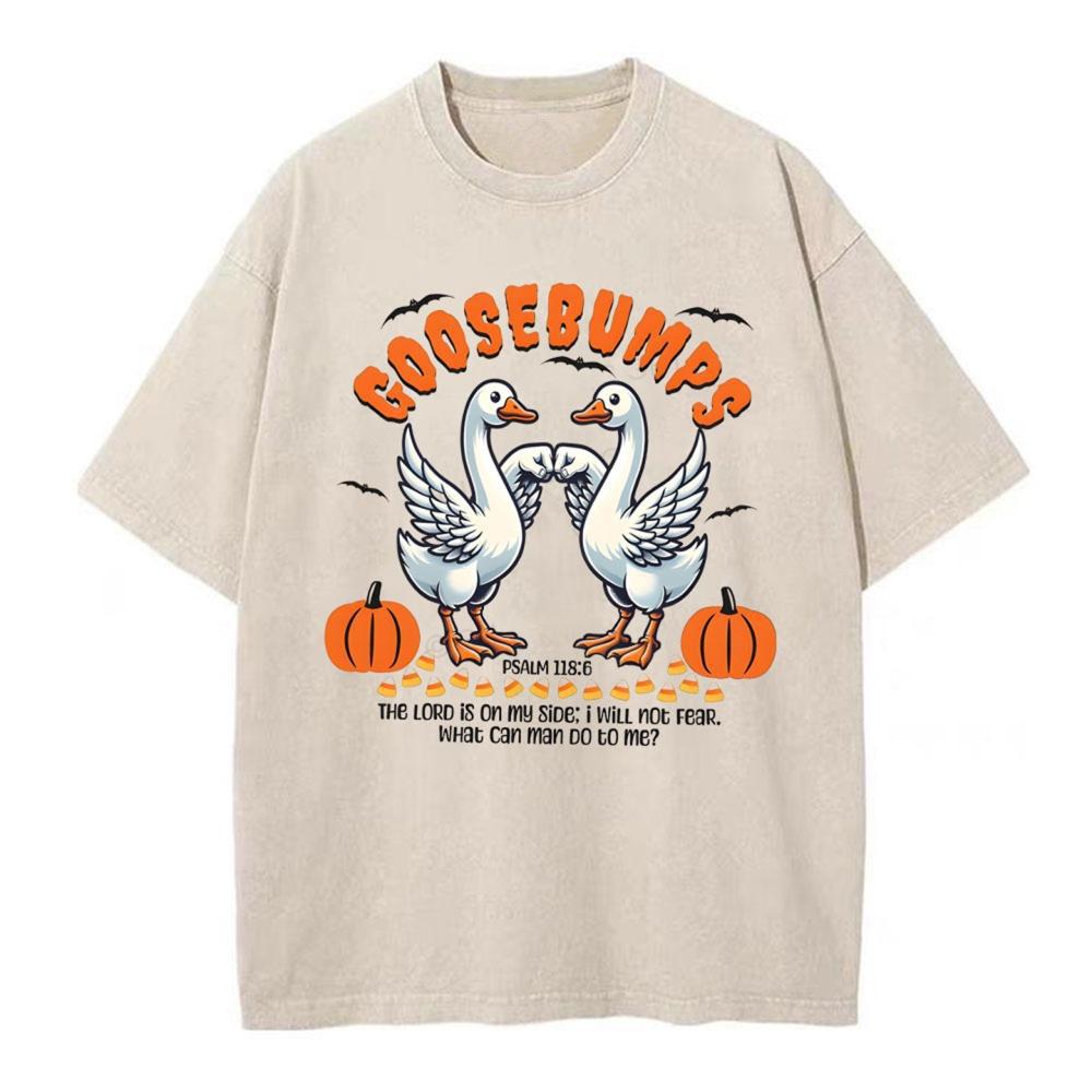 Goosebumps Christian Washed T-Shirt