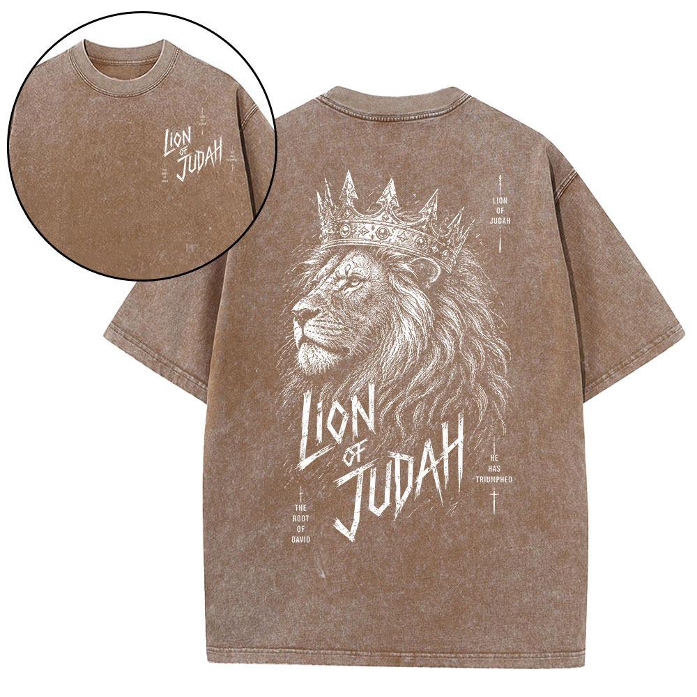 Lion Of Judah He Has Triumphed Christian T-Shirt