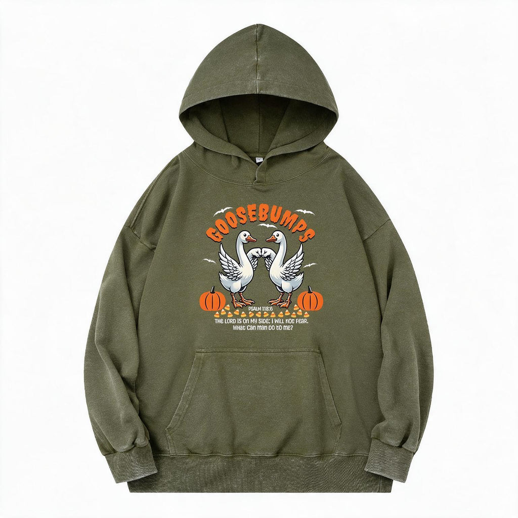 Goosebumps Christian Washed Hoodie