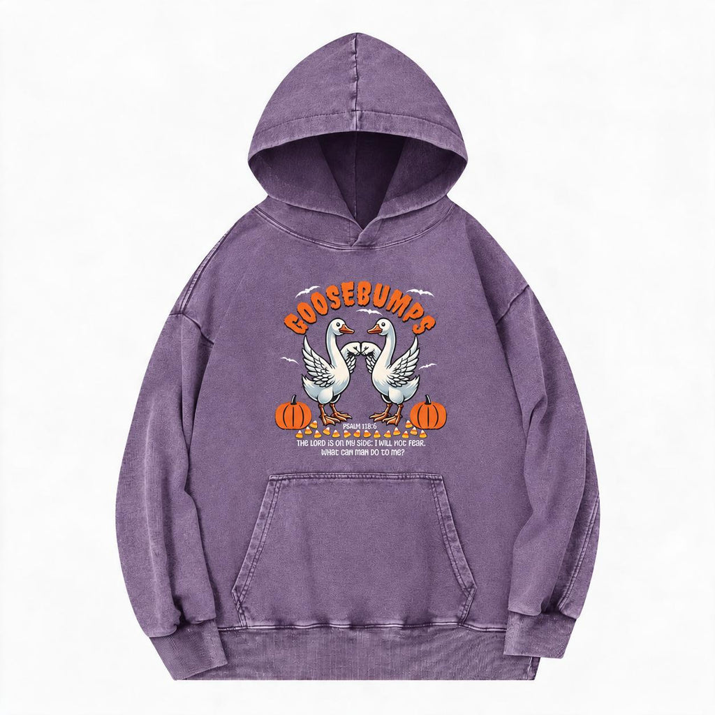 Goosebumps Christian Washed Hoodie