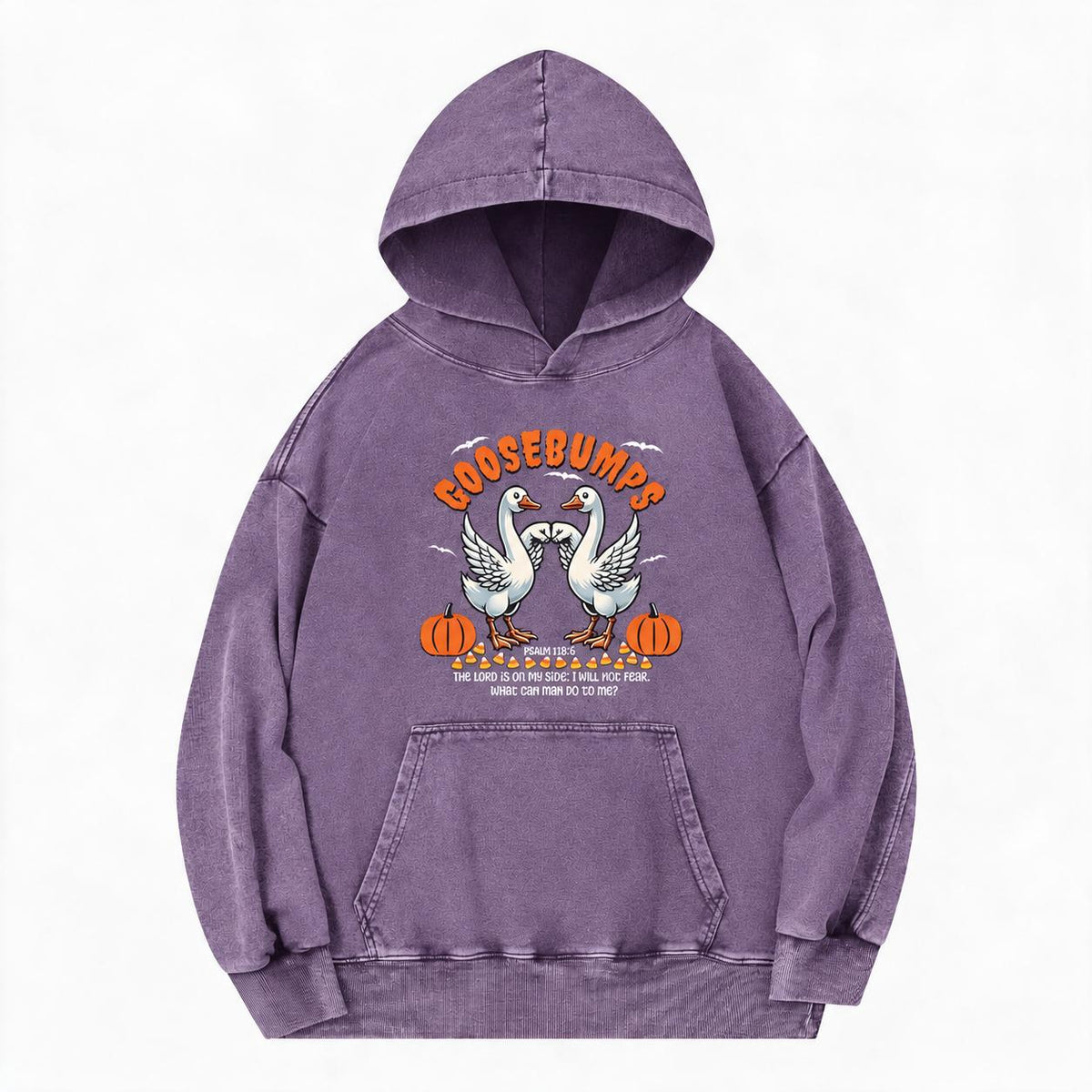 Goosebumps Christian Washed Hoodie