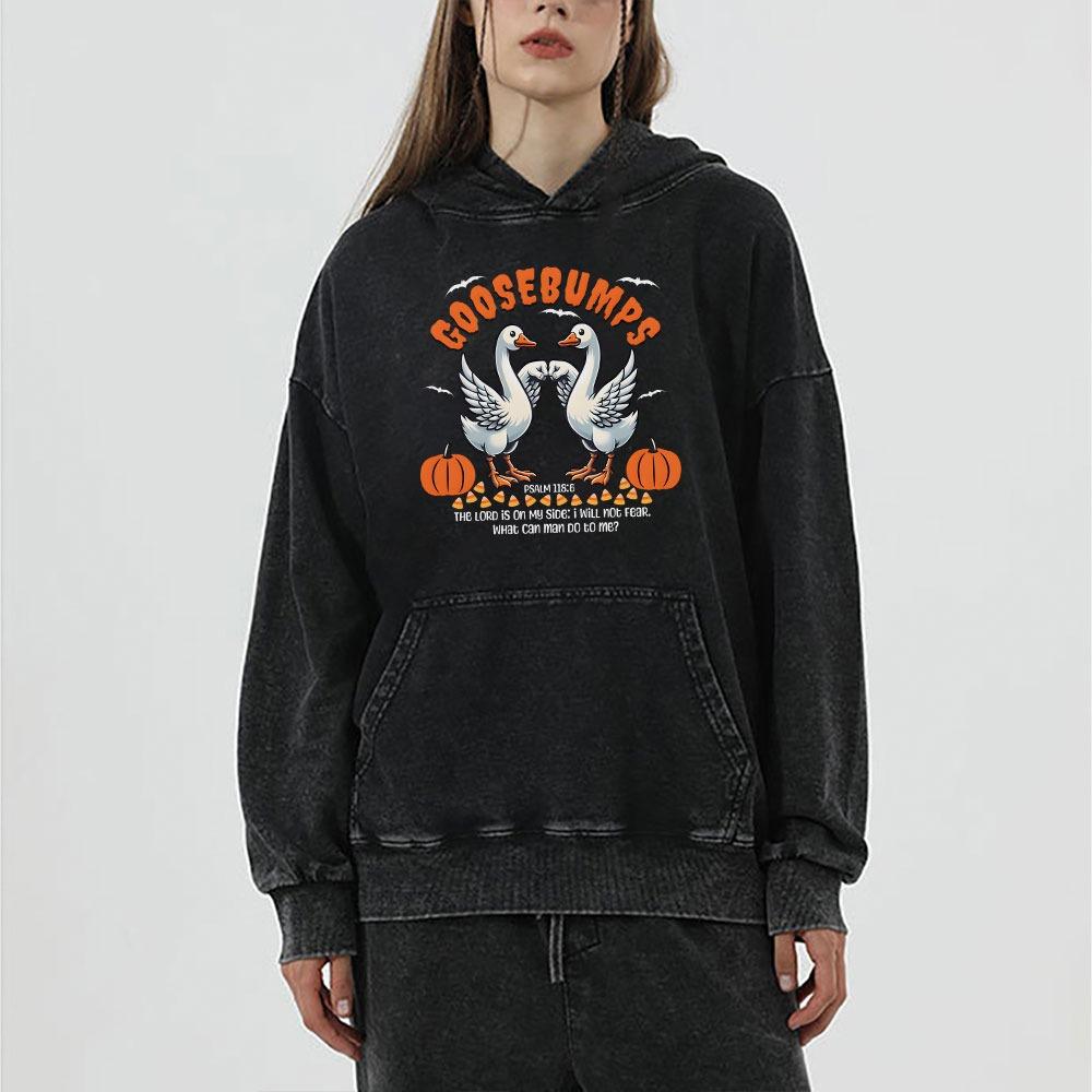 Goosebumps Christian Washed Hoodie