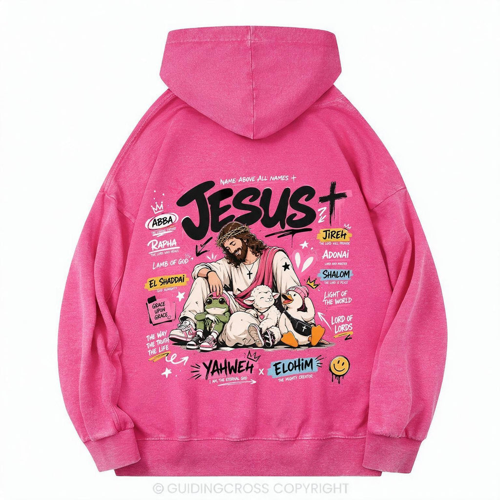 Name Above All Names Christian Washed Hoodie