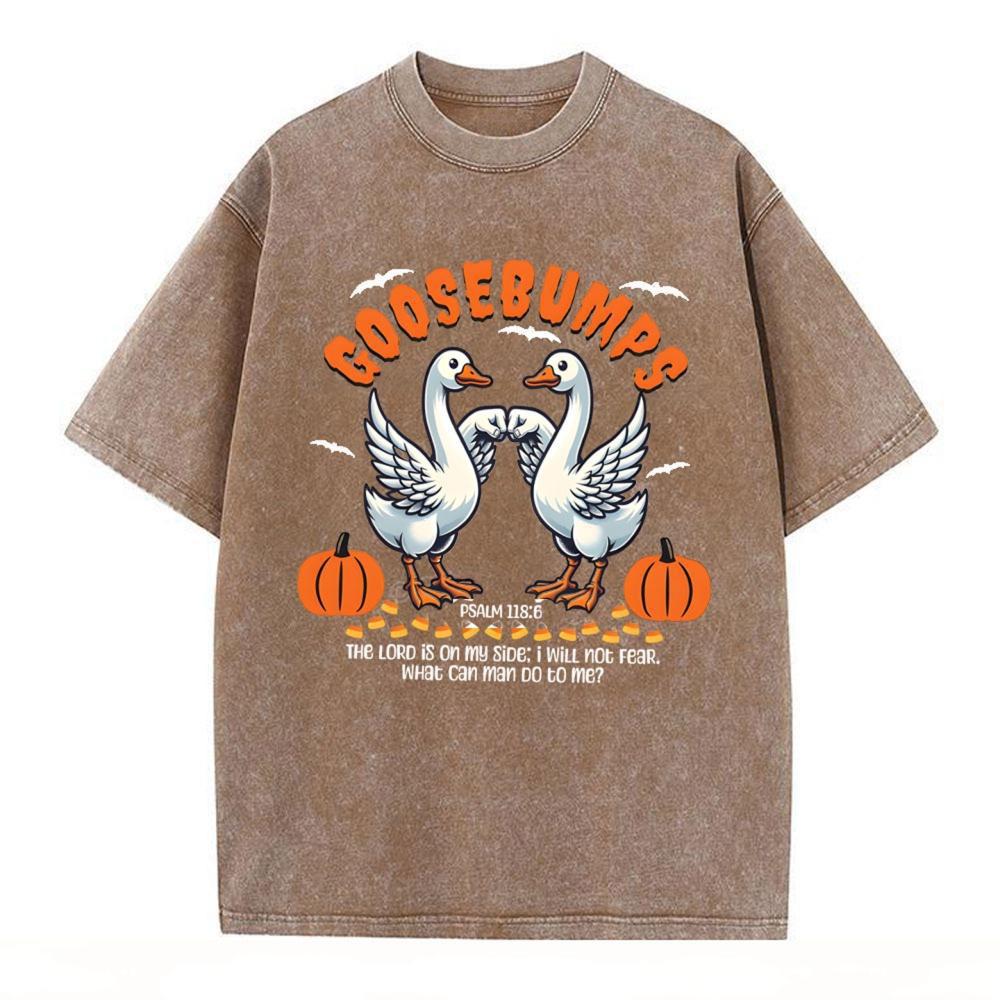 Goosebumps Christian Washed T-Shirt