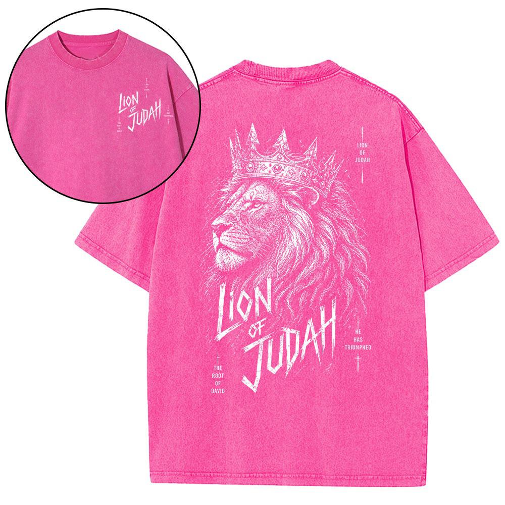 Lion Of Judah He Has Triumphed Christian T-Shirt