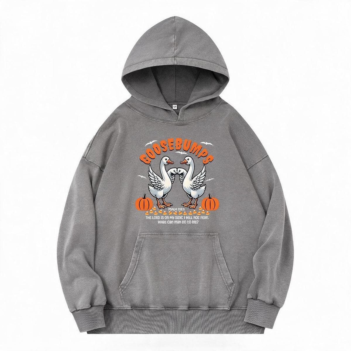 Goosebumps Christian Washed Hoodie