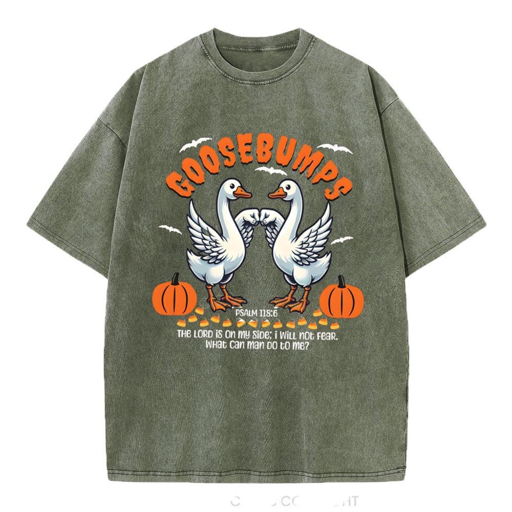 Goosebumps Christian Washed T-Shirt