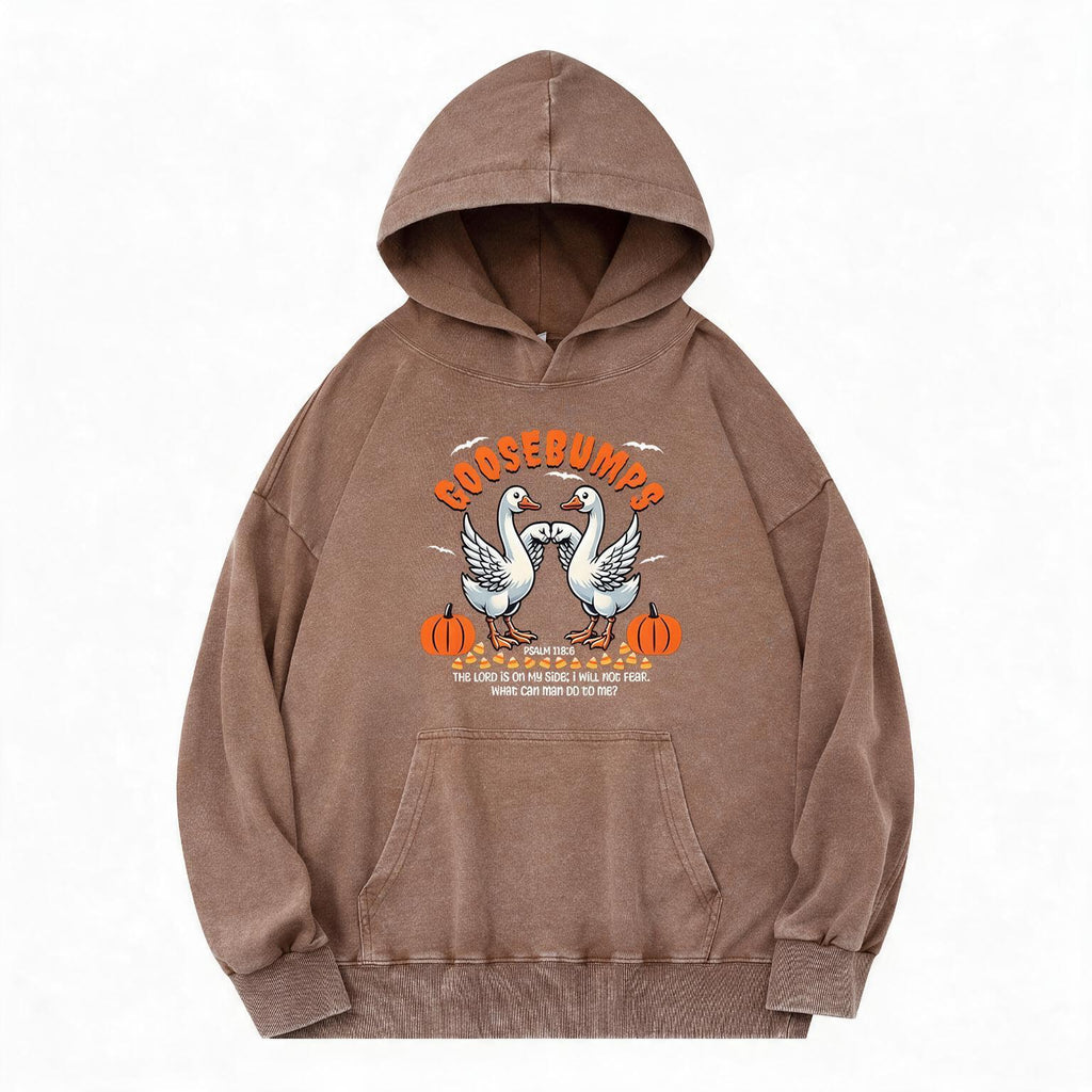 Goosebumps Christian Washed Hoodie