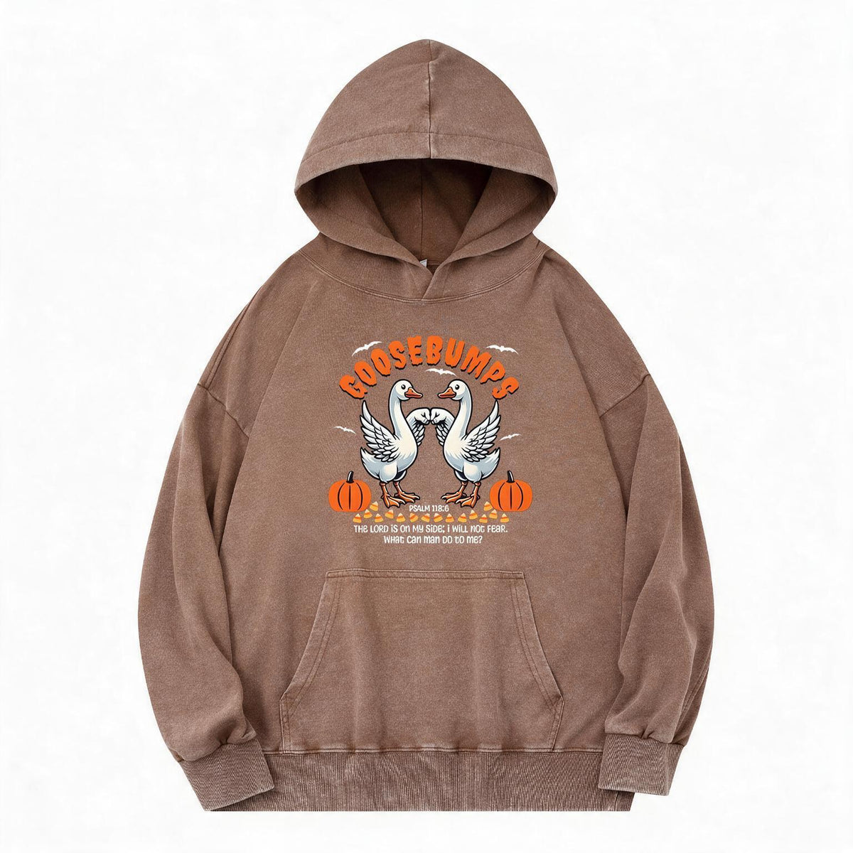 Goosebumps Christian Washed Hoodie